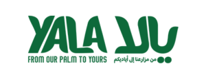 عجوة فاخر - تمر يالا عجوة المدينة العضوي 800 جرام - شحن مجاني في جميع أنحاء العالم!
